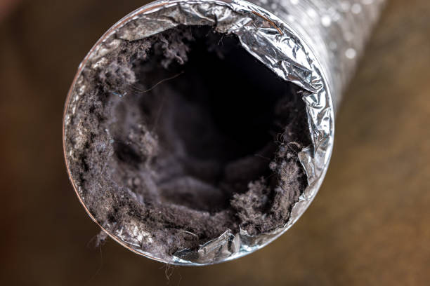 Best Ductwork Cleaning Services  in Avondale Estates, GA
