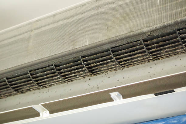 Best Air Quality Test  in Avondale Estates, GA